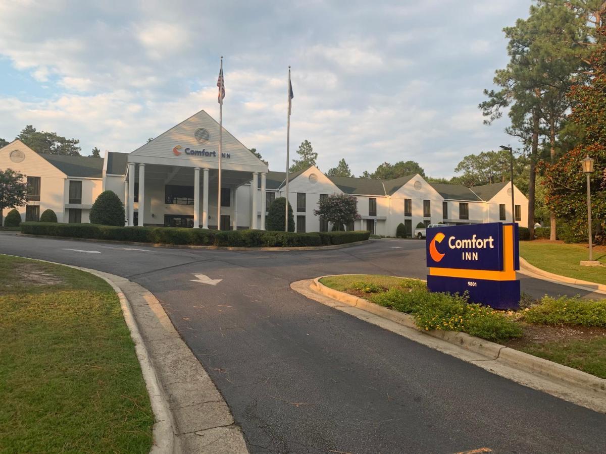 Comfort - Southern Pines