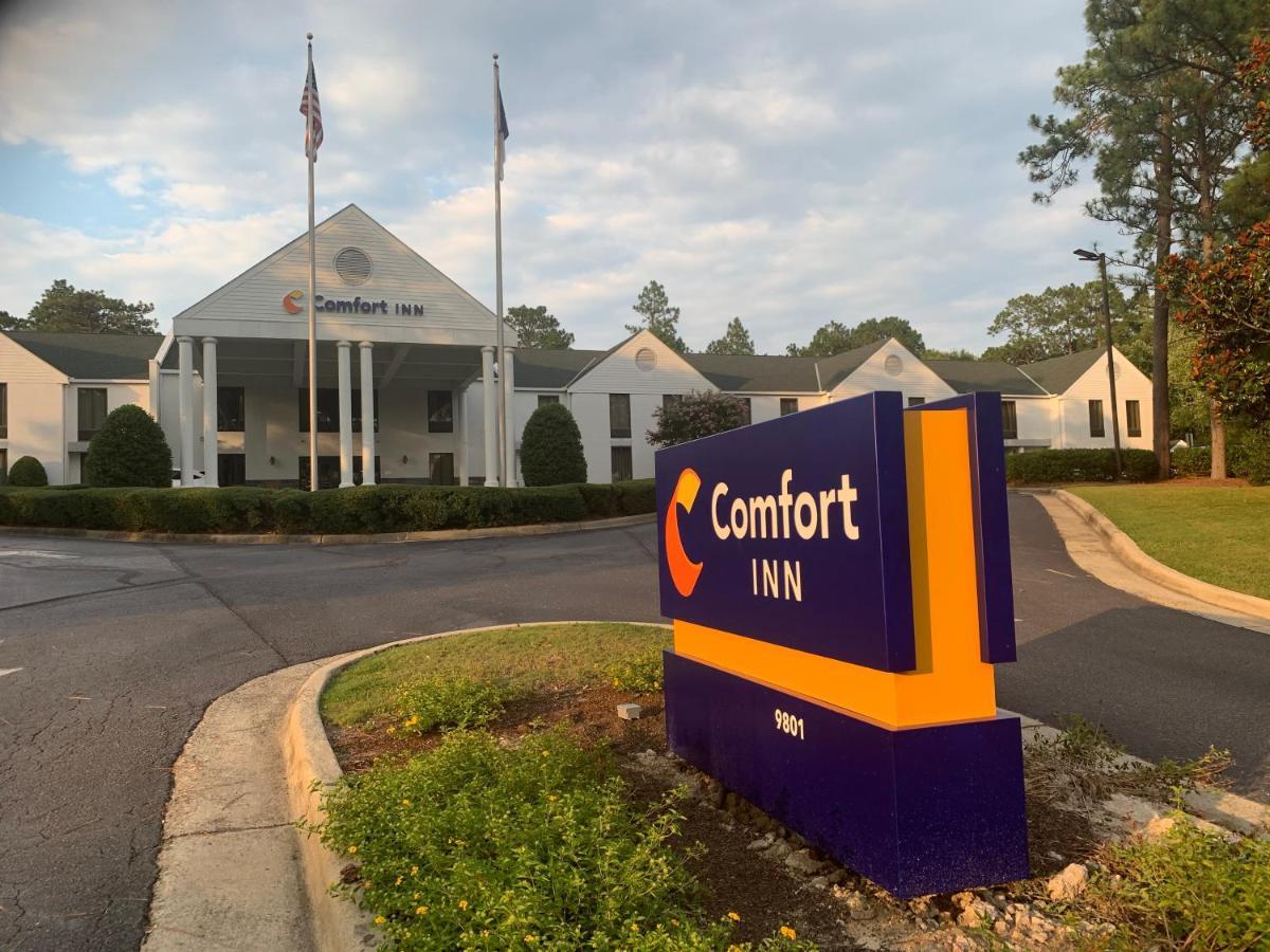 Comfort - Southern Pines Pinehurst